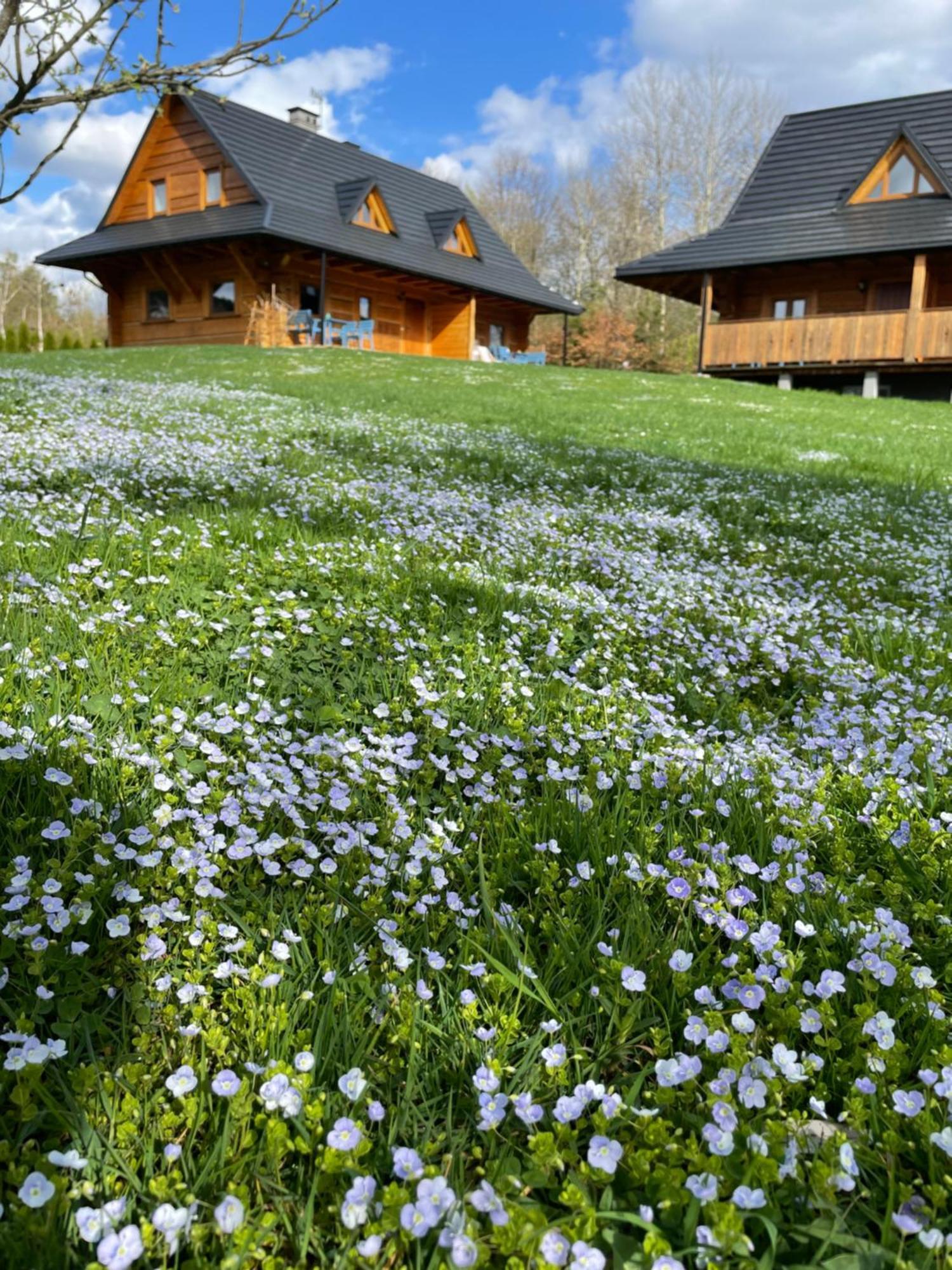 Bieszczadzkie Chatki - Willa Stasia Ustrzyki Dolne Exterior foto